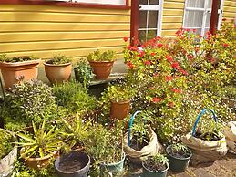 Bazil's Hostel & Surf School