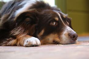 Lone Star Court, by Valencia Hotel Collection