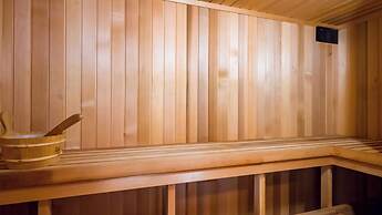 Viscount on the Beach