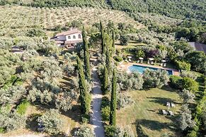 Azienda Agricola Il Bagolaro