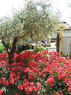 B&B Mariposa