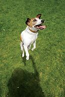 Element Harrison - Newark