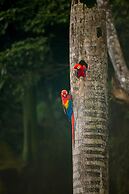 Tabulia Tree Hotel and Villas