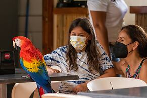 Tabulia Tree Hotel and Villas