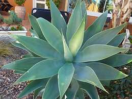 The Miners Rest Motel