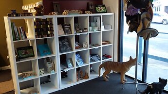 BIG4 Strahan Holiday Retreat