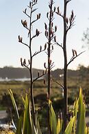 Russell - Orongo Bay Holiday Park