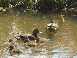 Russell - Orongo Bay Holiday Park