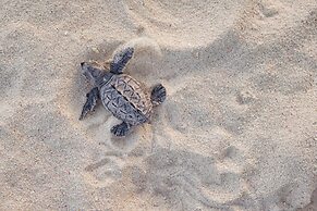 Sandals Barbados - ALL INCLUSIVE Couples Only