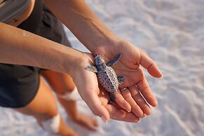 Sandals Barbados - ALL INCLUSIVE Couples Only