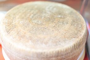 Agriturismo Podere San Giorgio