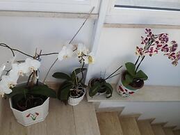 Guest House La Piazzetta