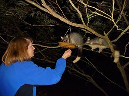 Yelverton Brook Conservation Sanctuary