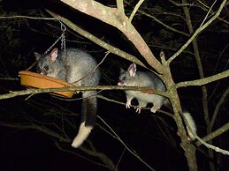 Yelverton Brook Conservation Sanctuary
