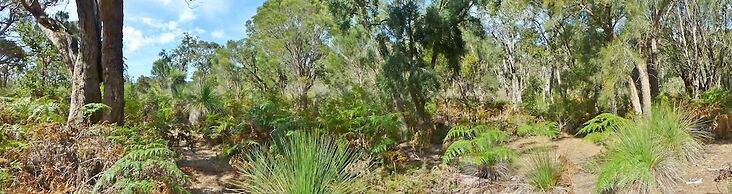 Yelverton Brook Conservation Sanctuary