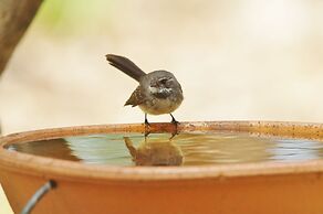 Yelverton Brook Conservation Sanctuary