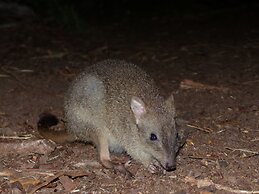 Yelverton Brook Conservation Sanctuary