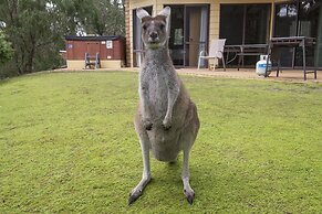 Yelverton Brook Conservation Sanctuary