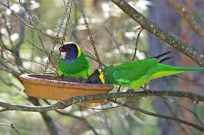 Yelverton Brook Conservation Sanctuary