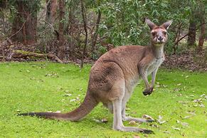 Yelverton Brook Conservation Sanctuary