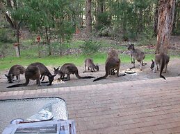 Yelverton Brook Conservation Sanctuary