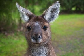Yelverton Brook Conservation Sanctuary