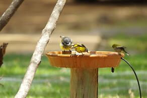 Yelverton Brook Conservation Sanctuary