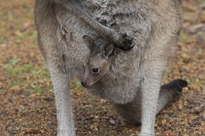 Yelverton Brook Conservation Sanctuary