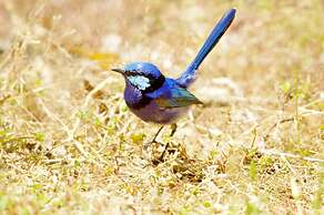 Yelverton Brook Conservation Sanctuary