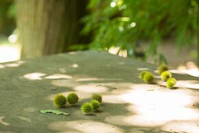 Rusticae Casa A Pedreira