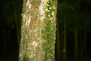 Rusticae Casa A Pedreira