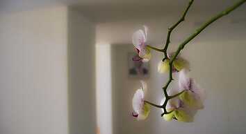 Imperial Hotel Express