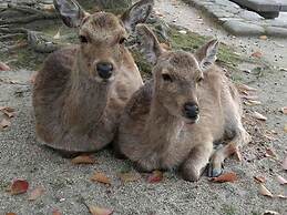 Vessel Inn Hiroshima Station