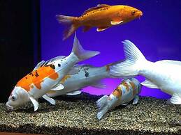 Vessel Inn Hiroshima Station