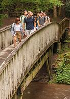 Unicoi State Park & Lodge