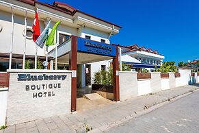 Blueberry Boutique Hotel - Boutique Class