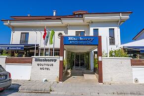 Blueberry Boutique Hotel - Boutique Class