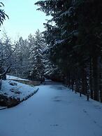 Hotel Orso Bianco