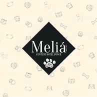 Meliá Century Hotel Ponce