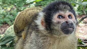 Vessel Hotel Ishigaki Island