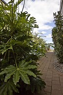 Clearwater Motor Lodge