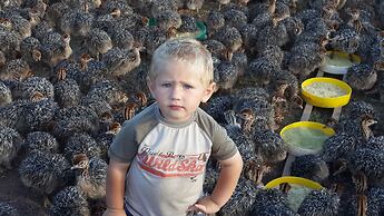 Old Mill Lodge, Working Ostrich Farm & Restaurant, Oudtshoorn