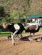 Old Mill Lodge, Working Ostrich Farm & Restaurant, Oudtshoorn