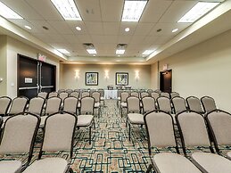 Holiday Inn Hotel & Suites Edmonton Airport & Conference Ctr by IHG