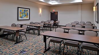 Holiday Inn Hotel & Suites Edmonton Airport & Conference Ctr by IHG