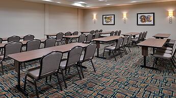 Holiday Inn Hotel & Suites Edmonton Airport & Conference Ctr by IHG