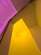 Guesthouse o Affitta Camere Campo dei Fiori