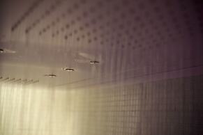 Guesthouse o Affitta Camere Campo dei Fiori