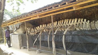 Chamiachi Luxury Apartments