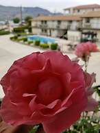 Osoyoos Lakeview Inn & Suites